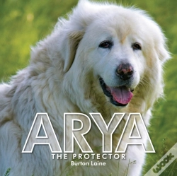 Capa do artigo Arya
