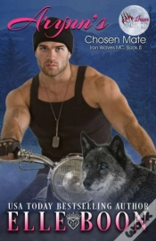 Capa do artigo Arynn