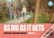 Capa do artigo As Big As It Gets (2nd Edition)
