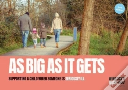 Capa do artigo As Big As It Gets (2nd Edition)