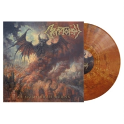 Capa do artigo As Gomorrah Burns - Vinil