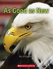 Capa do artigo As Good As New