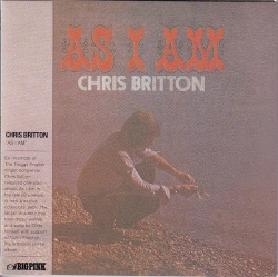 Capa do artigo As I Am - CD