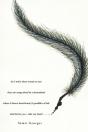 As I Write These Words - Preview