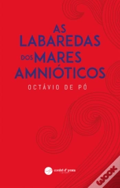 Capa do artigo As Labaredas dos Mares Amnióticos