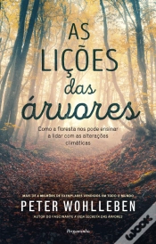 Capa do artigo As Lições das Árvores