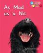 As Mad As A Nit - Preview