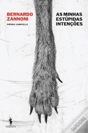 Capa do artigo As Minhas Estúpidas Intenções