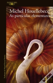 Capa do artigo As Partículas Elementares