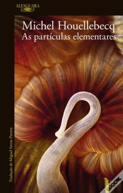 Capa do artigo As Partículas Elementares