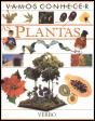 As Plantas - Preview