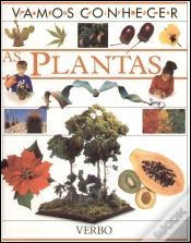 Capa do artigo As Plantas