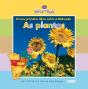 As Plantas - Preview