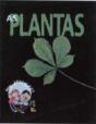 As Plantas - Preview