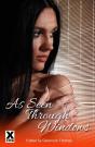 As Seen Through Windows - Preview