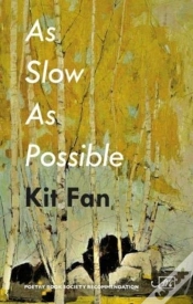 Capa do artigo As Slow As Possible