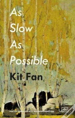 Capa do artigo As Slow As Possible