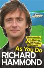 As You Do - Preview
