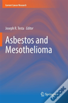 Asbestos And Mesothelioma