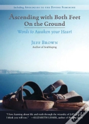 Capa do artigo Ascending With Both Feet On The Ground