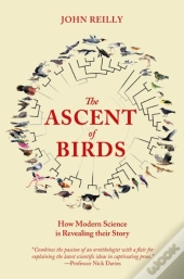 Ascent Of Birds