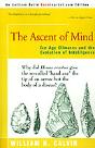 Ascent Of Mind - Preview