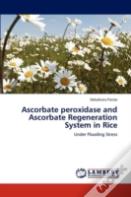 Ascorbate Peroxidase And Ascorbate Regeneration System In Rice