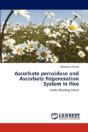 Ascorbate Peroxidase And Ascorbate Regeneration System In Rice - Preview