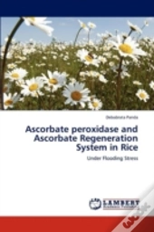 Ascorbate Peroxidase And Ascorbate Regeneration System In Rice