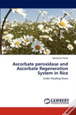 Capa do artigo Ascorbate Peroxidase And Ascorbate Regeneration System In Rice