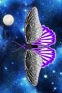 Asexual Space Butterfly Lined Notebook - Preview