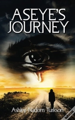 Capa do artigo Aseye'S Journey
