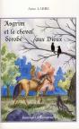 Asgrim Et Le Cheval Dérobé Aux Dieux - Preview