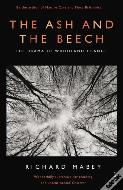 Capa do artigo Ash And The Beech