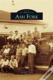 Capa do artigo Ash Fork