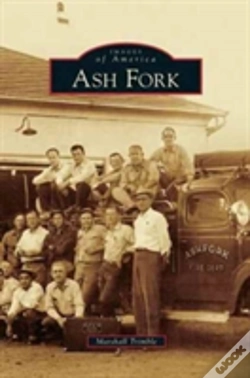 Capa do artigo Ash Fork