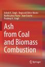 Ash From Coal And Biomass Combustion - Preview