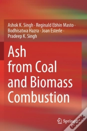 Capa do artigo Ash From Coal And Biomass Combustion
