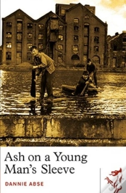 Capa do artigo Ash On A Young Man'S Sleeve