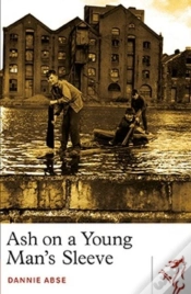 Capa do artigo Ash On A Young Man