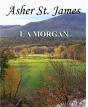 Asher St. James - Preview