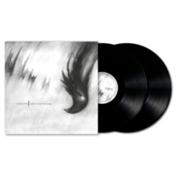 Capa do artigo Ashes Against the Grain - Vinil