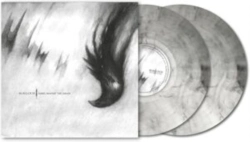 Capa do artigo Ashes Against the Grain - Vinil