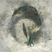 Capa do artigo Ashes - CD