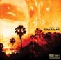 Ashes & Fire - Vinil - Preview