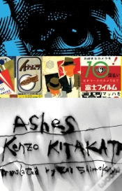 Capa do artigo Ashes