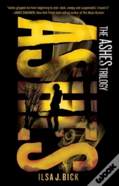Capa do artigo Ashes