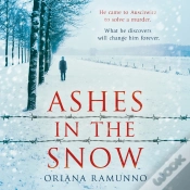 Capa do artigo Ashes In The Snow