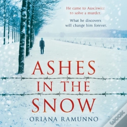 Capa do artigo Ashes In The Snow