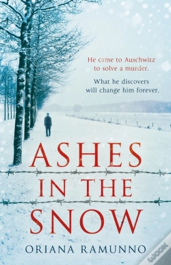 Capa do artigo Ashes In The Snow